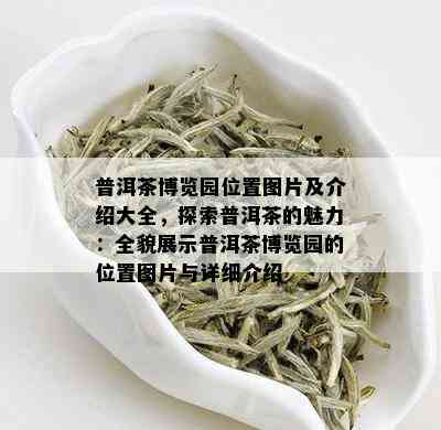 普洱茶博览园位置图片及介绍大全，探索普洱茶的魅力：全貌展示普洱茶博览园的位置图片与详细介绍