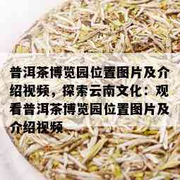 普洱茶博览园位置图片及介绍视频，探索云南文化：观看普洱茶博览园位置图片及介绍视频