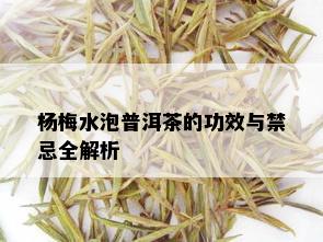 杨梅水泡普洱茶的功效与禁忌全解析