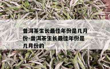 普洱茶生长更佳年份是几月份-普洱茶生长更佳年份是几月份的