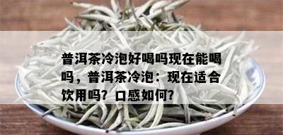 普洱茶冷泡好喝吗现在能喝吗，普洱茶冷泡：现在适合饮用吗？口感如何？