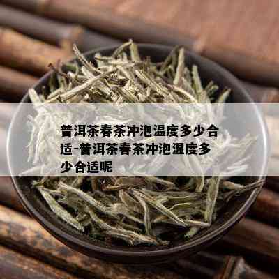 普洱茶春茶冲泡温度多少合适-普洱茶春茶冲泡温度多少合适呢