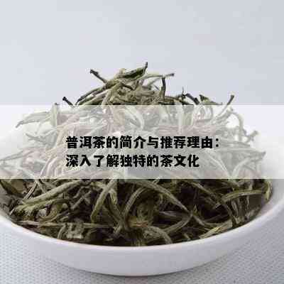 普洱茶的简介与推荐理由：深入了解独特的茶文化