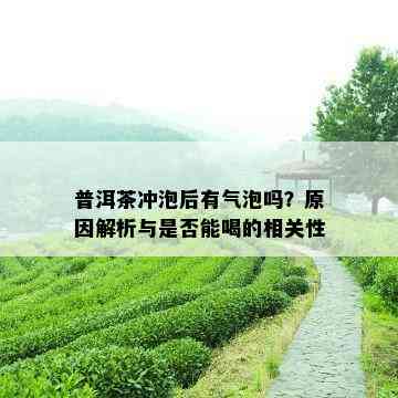 普洱茶冲泡后有气泡吗？原因解析与是否能喝的相关性