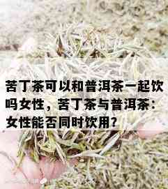 苦丁茶可以和普洱茶一起饮吗女性，苦丁茶与普洱茶：女性能否同时饮用？