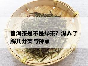 普洱茶是不是绿茶？深入了解其分类与特点