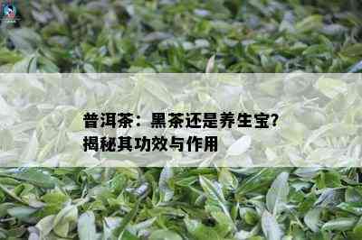 普洱茶：黑茶还是养生宝？揭秘其功效与作用