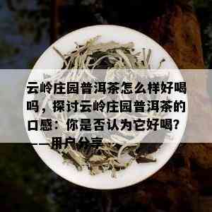 云岭庄园普洱茶怎么样好喝吗，探讨云岭庄园普洱茶的口感：你是否认为它好喝？——用户分享