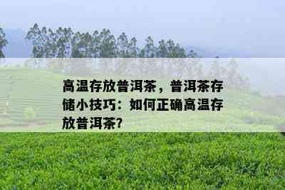 高温存放普洱茶，普洱茶存储小技巧：如何正确高温存放普洱茶？