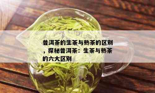 普洱茶的生茶与熟茶的区别，探秘普洱茶：生茶与熟茶的六大区别