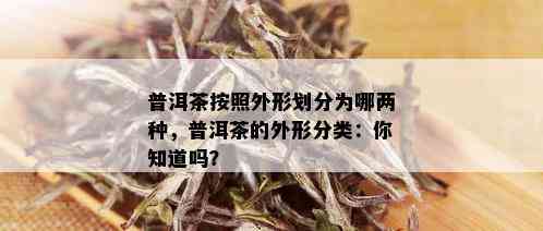 普洱茶按照外形划分为哪两种，普洱茶的外形分类：你知道吗？