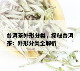 普洱茶外形分类，探秘普洱茶：外形分类全解析