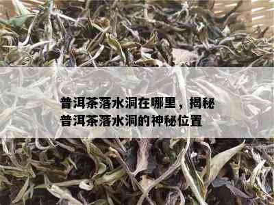 普洱茶落水洞在哪里，揭秘普洱茶落水洞的神秘位置