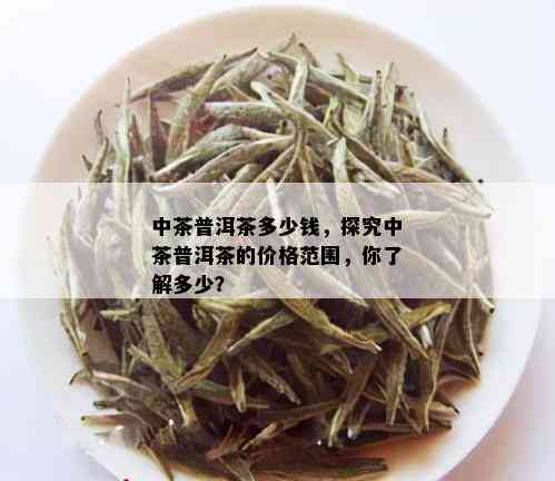 中茶普洱茶多少钱，探究中茶普洱茶的价格范围，你了解多少？