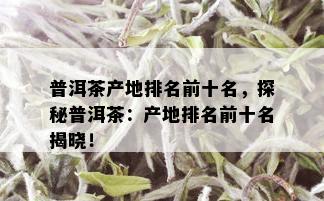 普洱茶产地排名前十名，探秘普洱茶：产地排名前十名揭晓！