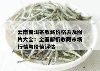 云南普洱茶收藏价格表及图片大全：全面解析收藏市场行情与价值评估