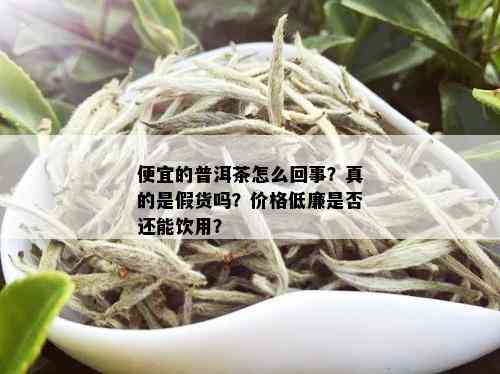 便宜的普洱茶怎么回事？真的是假货吗？价格低廉是否还能饮用？