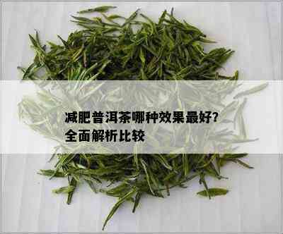 减肥普洱茶哪种效果更好？全面解析比较