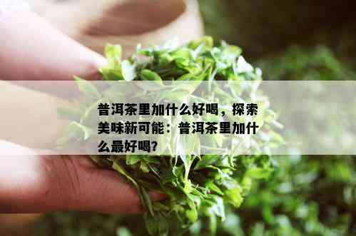 普洱茶里加什么好喝，探索美味新可能：普洱茶里加什么更好喝？