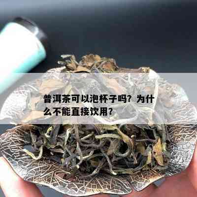 普洱茶可以泡杯子吗？为什么不能直接饮用？