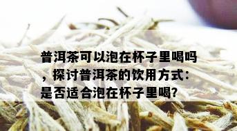 普洱茶可以泡在杯子里喝吗，探讨普洱茶的饮用方式：是否适合泡在杯子里喝？