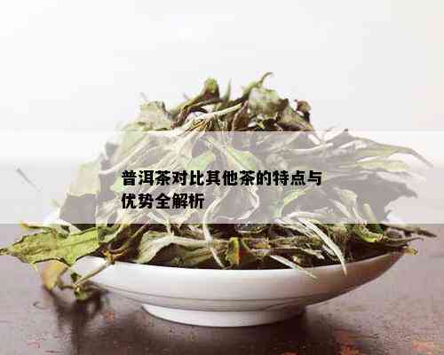 普洱茶对比其他茶的特点与优势全解析