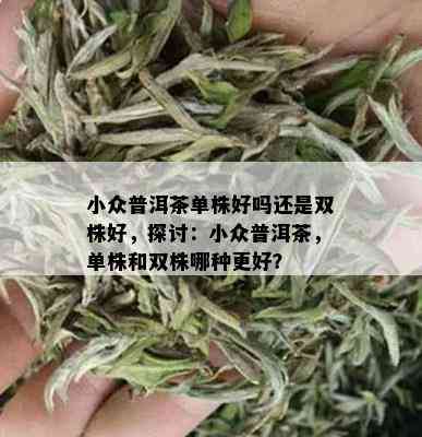 小众普洱茶单株好吗还是双株好，探讨：小众普洱茶，单株和双株哪种更好？