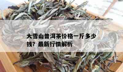 大雪山普洱茶价格一斤多少钱？最新行情解析