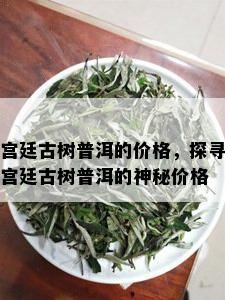 宫廷古树普洱的价格，探寻宫廷古树普洱的神秘价格