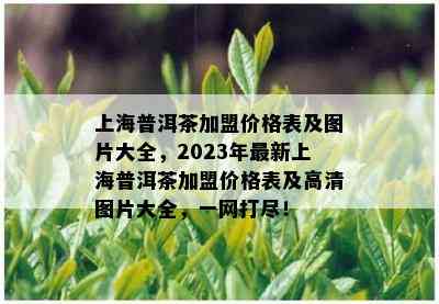 上海普洱茶加盟价格表及图片大全，2023年最新上海普洱茶加盟价格表及高清图片大全，一网打尽！