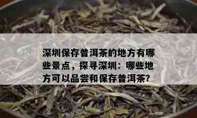 深圳保存普洱茶的地方有哪些景点，探寻深圳：哪些地方可以品尝和保存普洱茶？