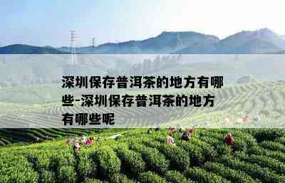 深圳保存普洱茶的地方有哪些-深圳保存普洱茶的地方有哪些呢