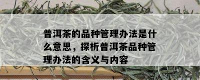 普洱茶的品种管理办法是什么意思，探析普洱茶品种管理办法的含义与内容