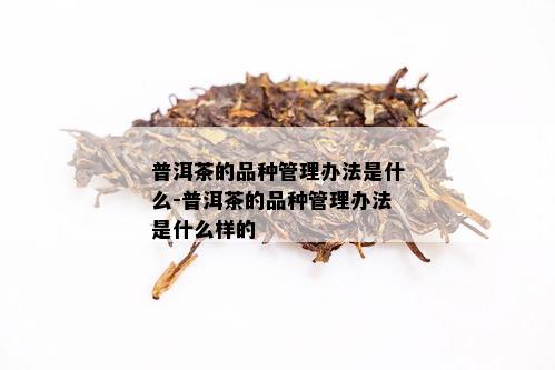 普洱茶的品种管理办法是什么-普洱茶的品种管理办法是什么样的