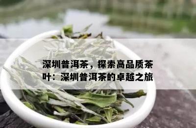 深圳普洱茶，探索高品质茶叶：深圳普洱茶的卓越之旅