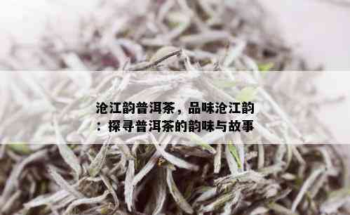 沧江韵普洱茶，品味沧江韵：探寻普洱茶的韵味与故事