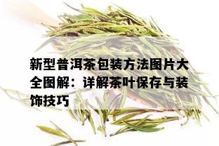 新型普洱茶包装方法图片大全图解：详解茶叶保存与装饰技巧