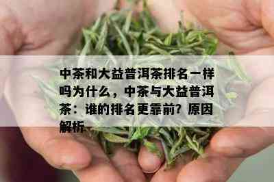 中茶和大益普洱茶排名一样吗为什么，中茶与大益普洱茶：谁的排名更靠前？原因解析