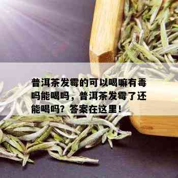 普洱茶发霉的可以喝嘛有吗能喝吗，普洱茶发霉了还能喝吗？答案在这里！