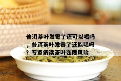 普洱茶叶发霉了还可以喝吗，普洱茶叶发霉了还能喝吗？专家解读茶叶变质风险