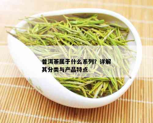 普洱茶属于什么系列？详解其分类与产品特点