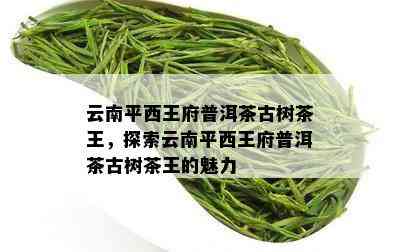 云南平西王府普洱茶古树茶王，探索云南平西王府普洱茶古树茶王的魅力