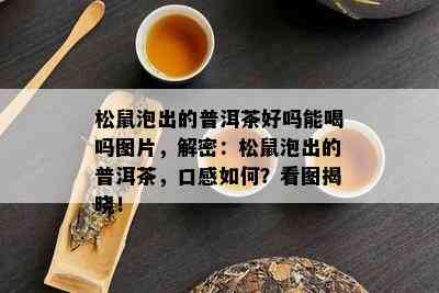 松鼠泡出的普洱茶好吗能喝吗图片，解密：松鼠泡出的普洱茶，口感如何？看图揭晓！