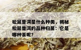 松鼠普洱是什么种类，揭秘松鼠普洱的品种归属：它是哪种茶呢？