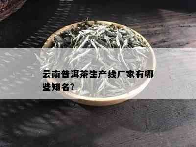 云南普洱茶生产线厂家有哪些知名？