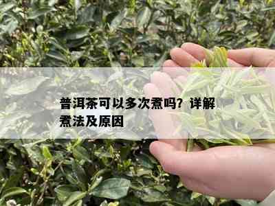 普洱茶可以多次煮吗？详解煮法及原因