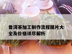 普洱茶加工制作流程图片大全及价格详尽解析