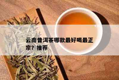 云南普洱茶哪款更好喝最正宗？推荐