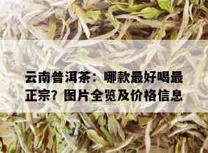 云南普洱茶：哪款更好喝最正宗？图片全览及价格信息