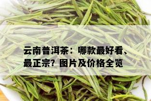 云南普洱茶：哪款更好看、最正宗？图片及价格全览